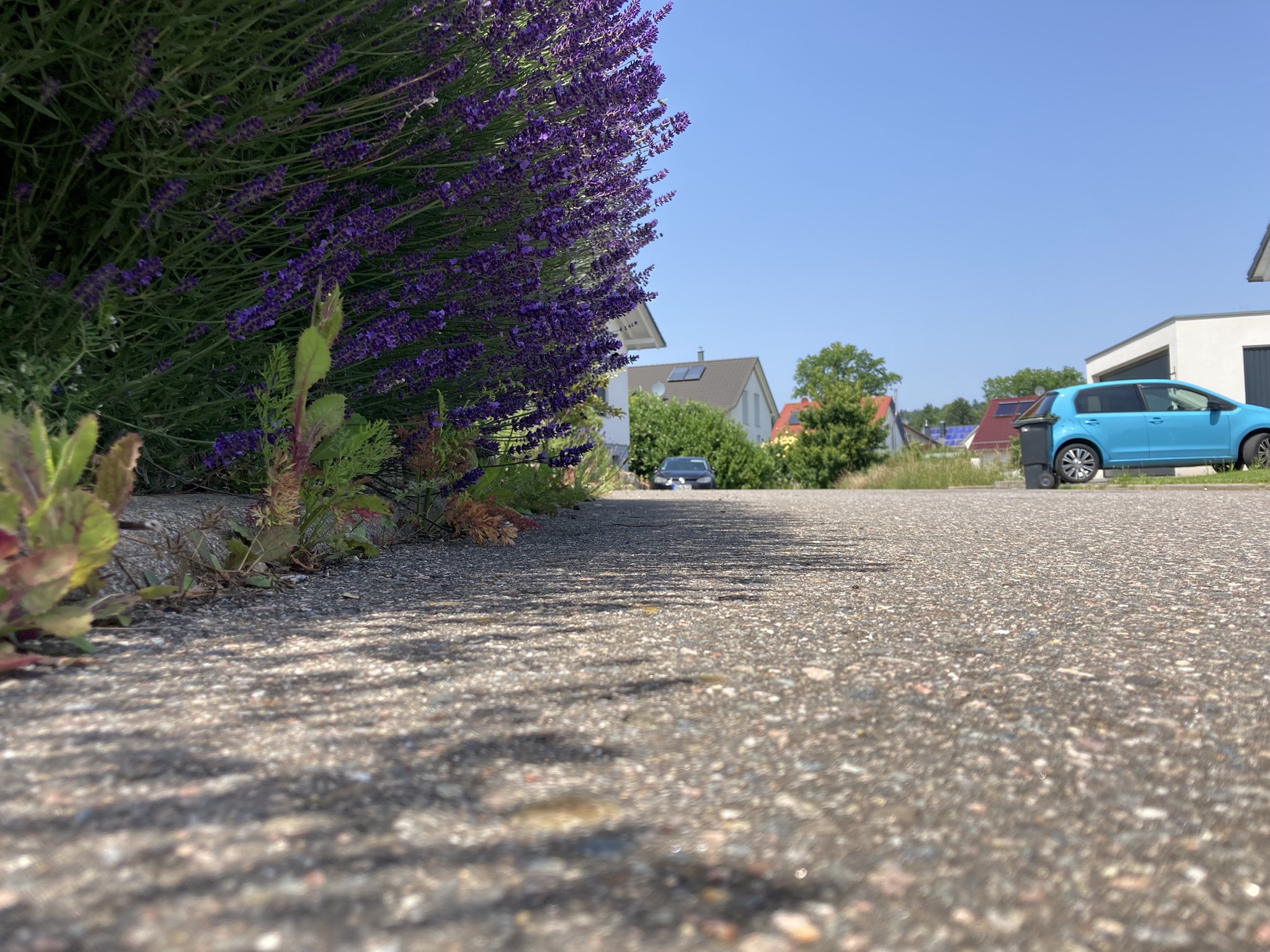 Hitzestress in deutschen Städten