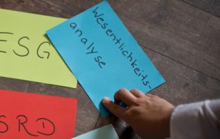 Wesentlichkeitsanalyse