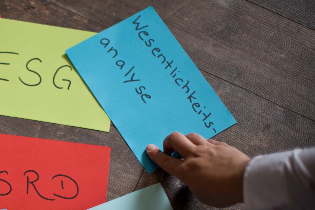 Wesentlichkeitsanalyse